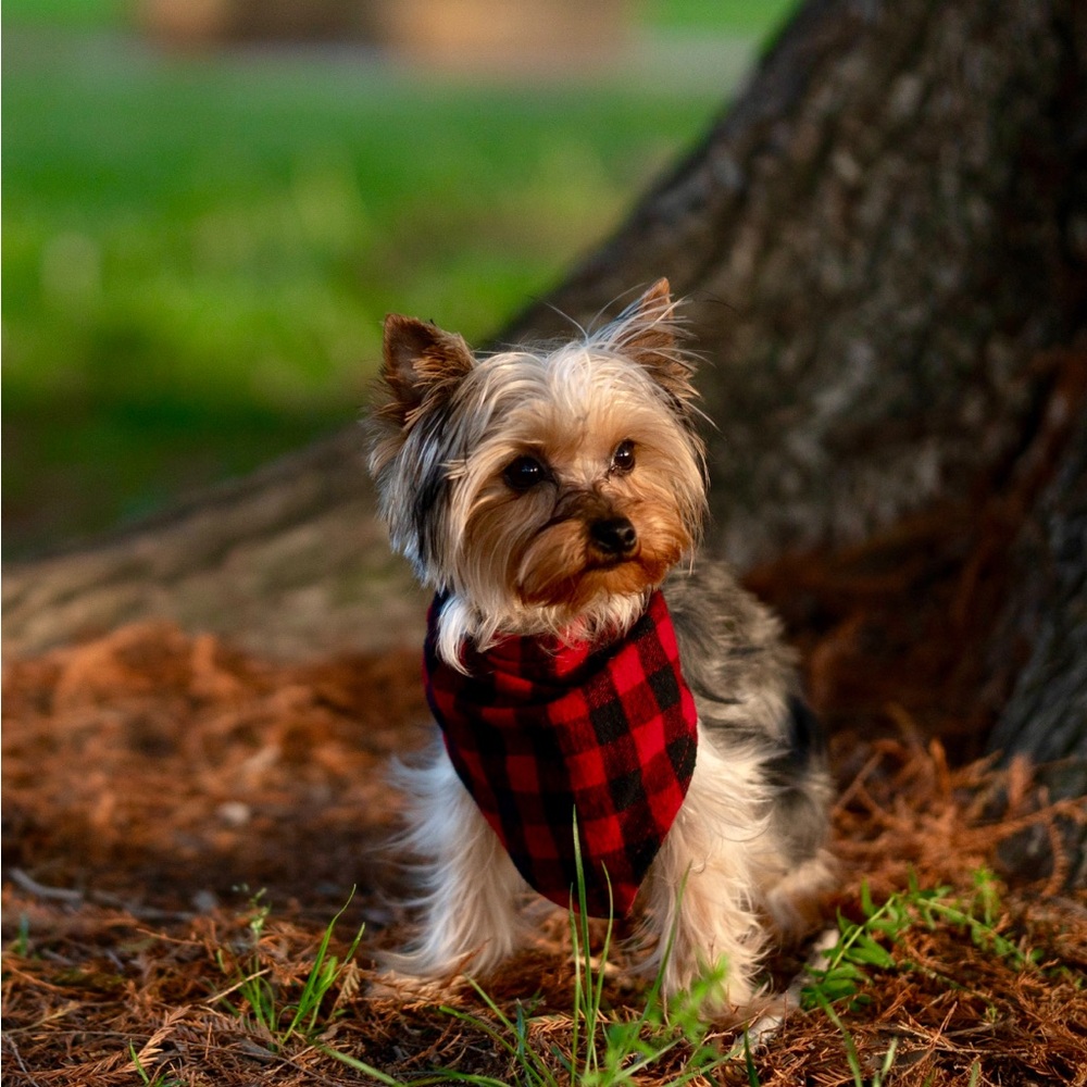 Meet your Posher, Kamila